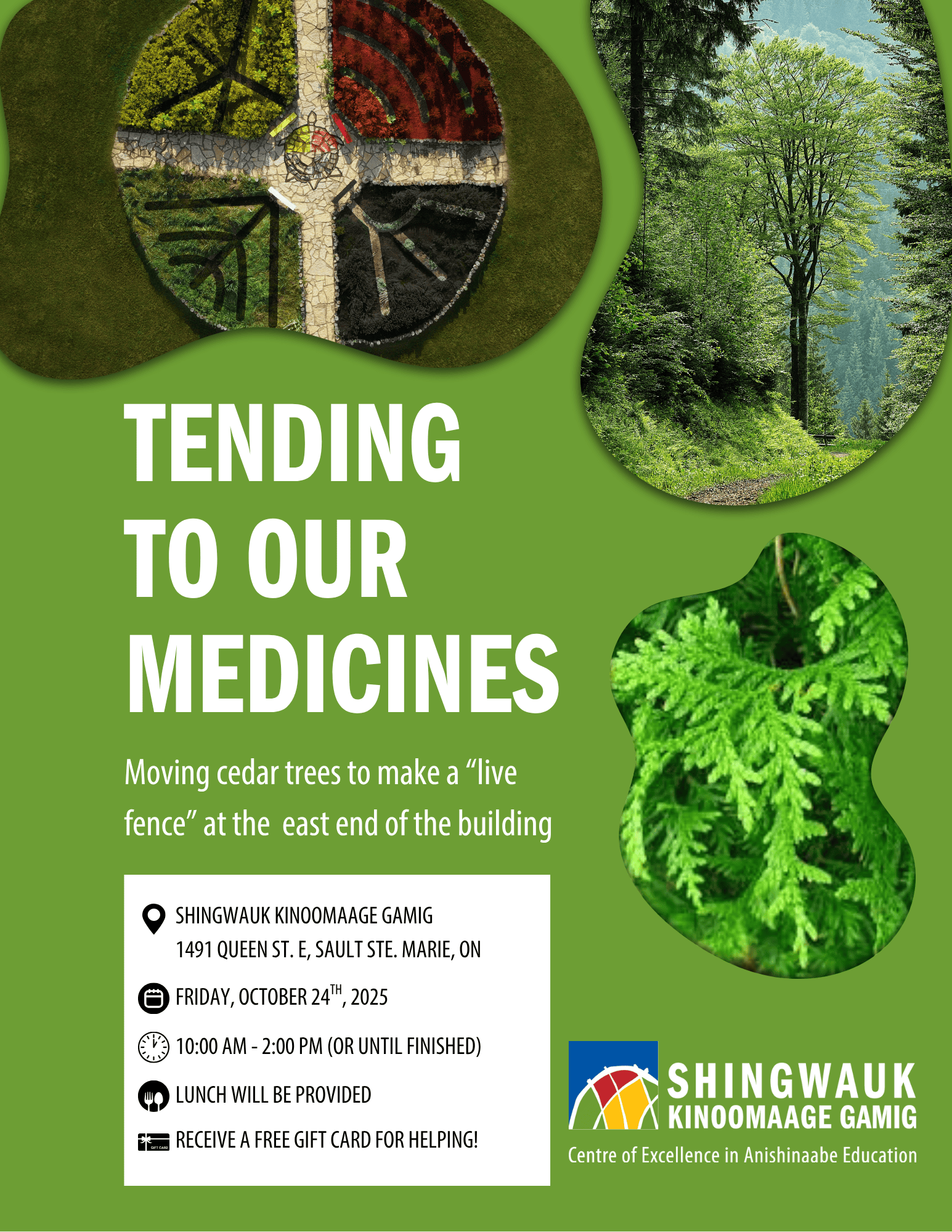 Tending to our Medicines